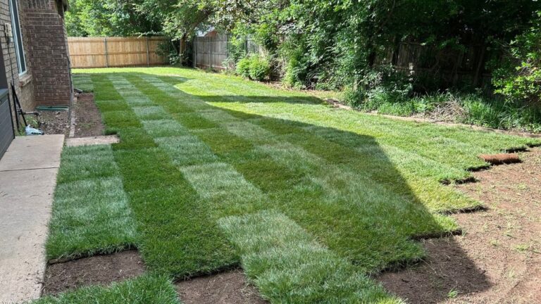 21 Days After Sod Installation in Sudbury — The Make-or-Break Window Nobody Talks About