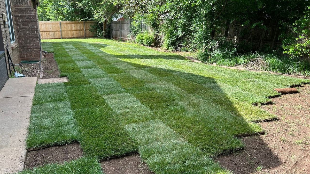 freshly installed sod residential lawn Greater Sudbury Ontario 21 day establishment window aftercare