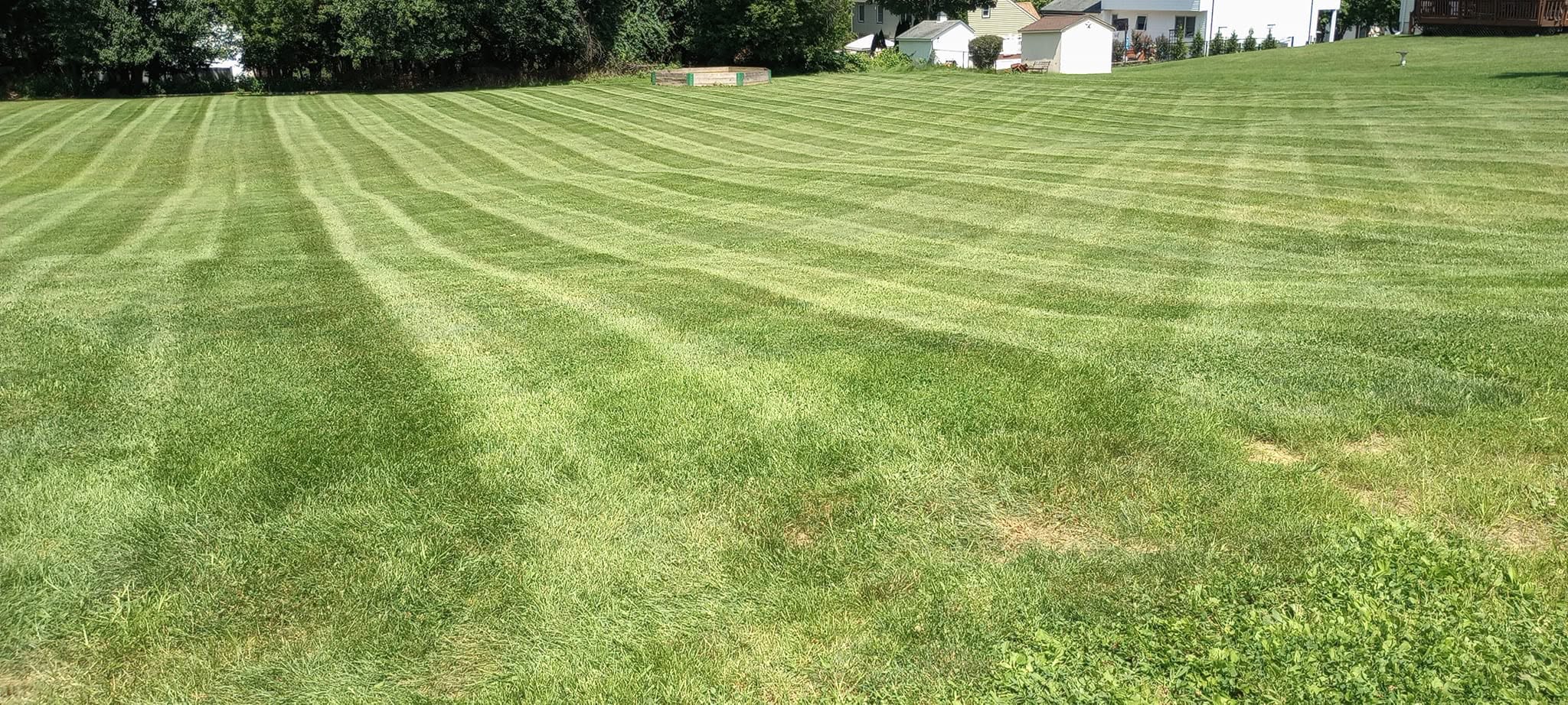 grass cutting direction pattern observation residential lawn Greater Sudbury Ontario close inspection