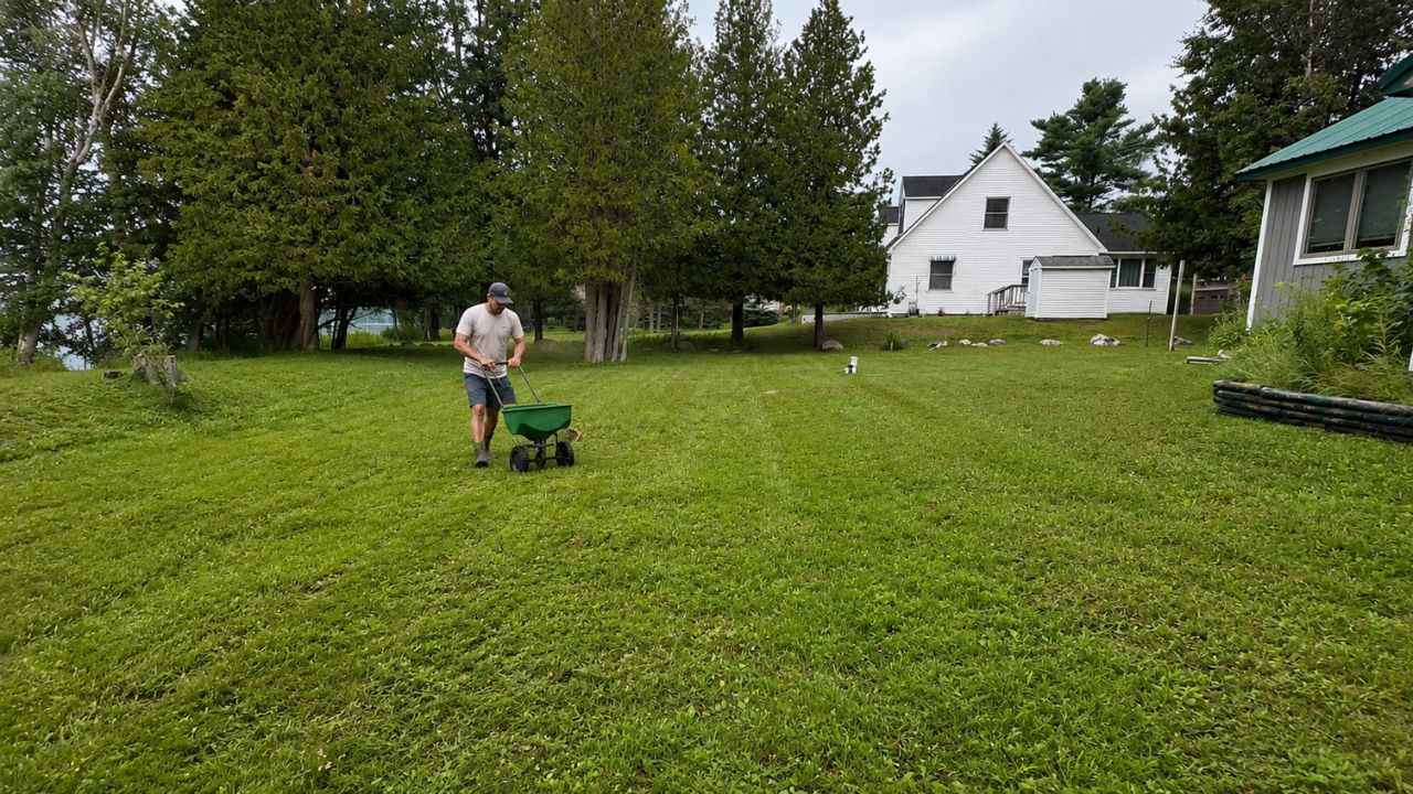 grass seed germinating after overseeding residential lawn Greater Sudbury Ontario spring