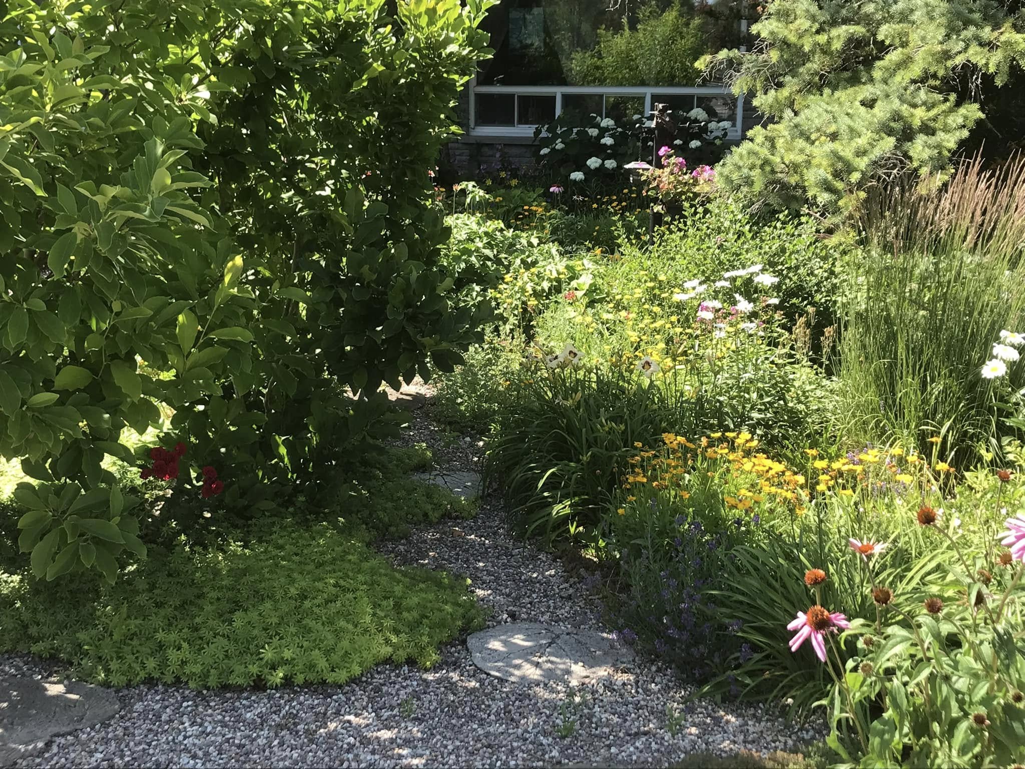 ground cover alternative to grass shaded sandy cottage lot Sudbury Ontario lakeside SCHEMA