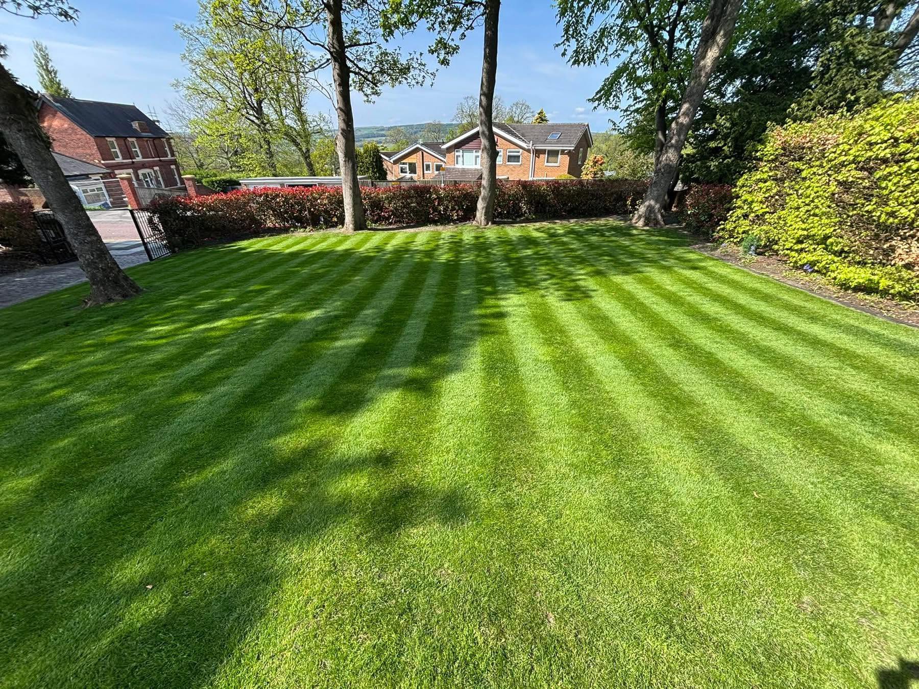 healthy exceptional residential lawn Greater Sudbury Ontario what good lawns never have in common