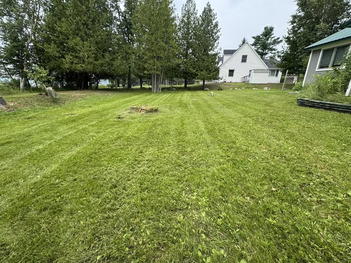 healthy green well maintained residential lawn Hanmer Ontario summer
