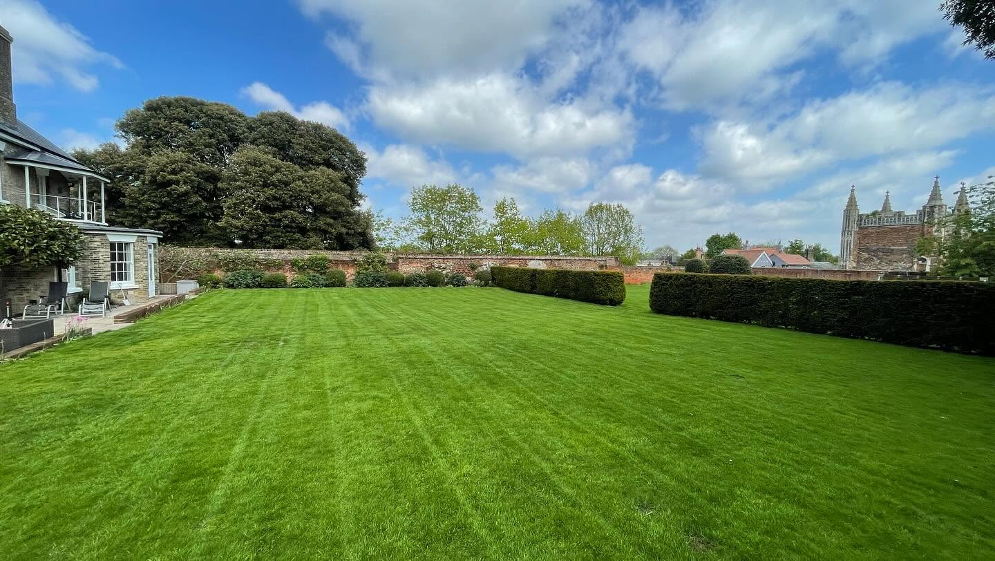 healthy maintained residential lawn Lively Ontario Greater Sudbury summer green dense