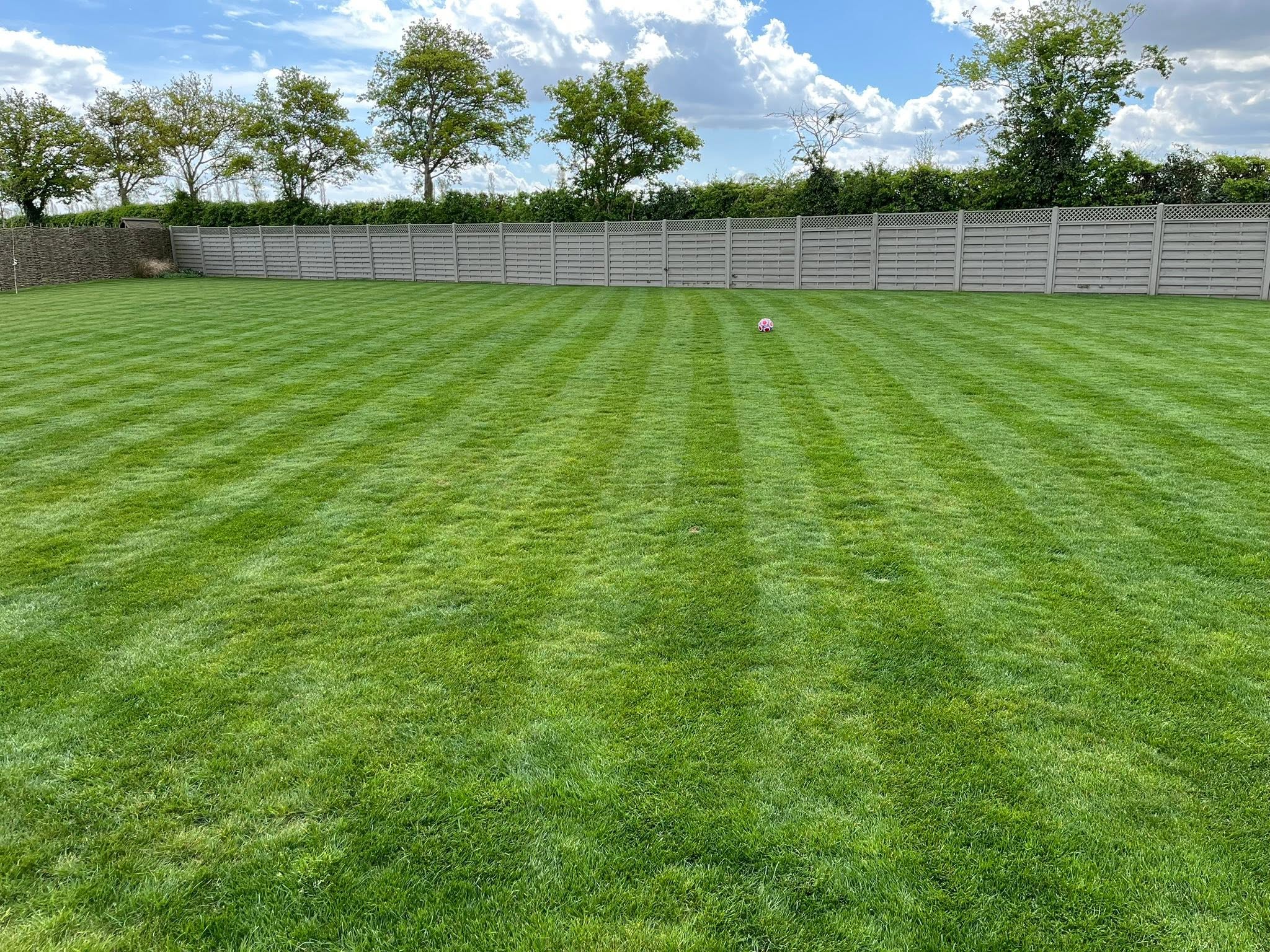 healthy thick dense residential lawn result of careful cutting decades Greater Sudbury Ontario