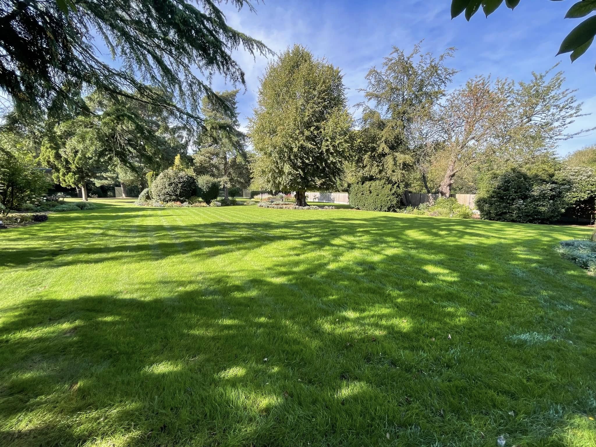 healthy well maintained residential lawn Greater Sudbury Ontario after correct lawn care