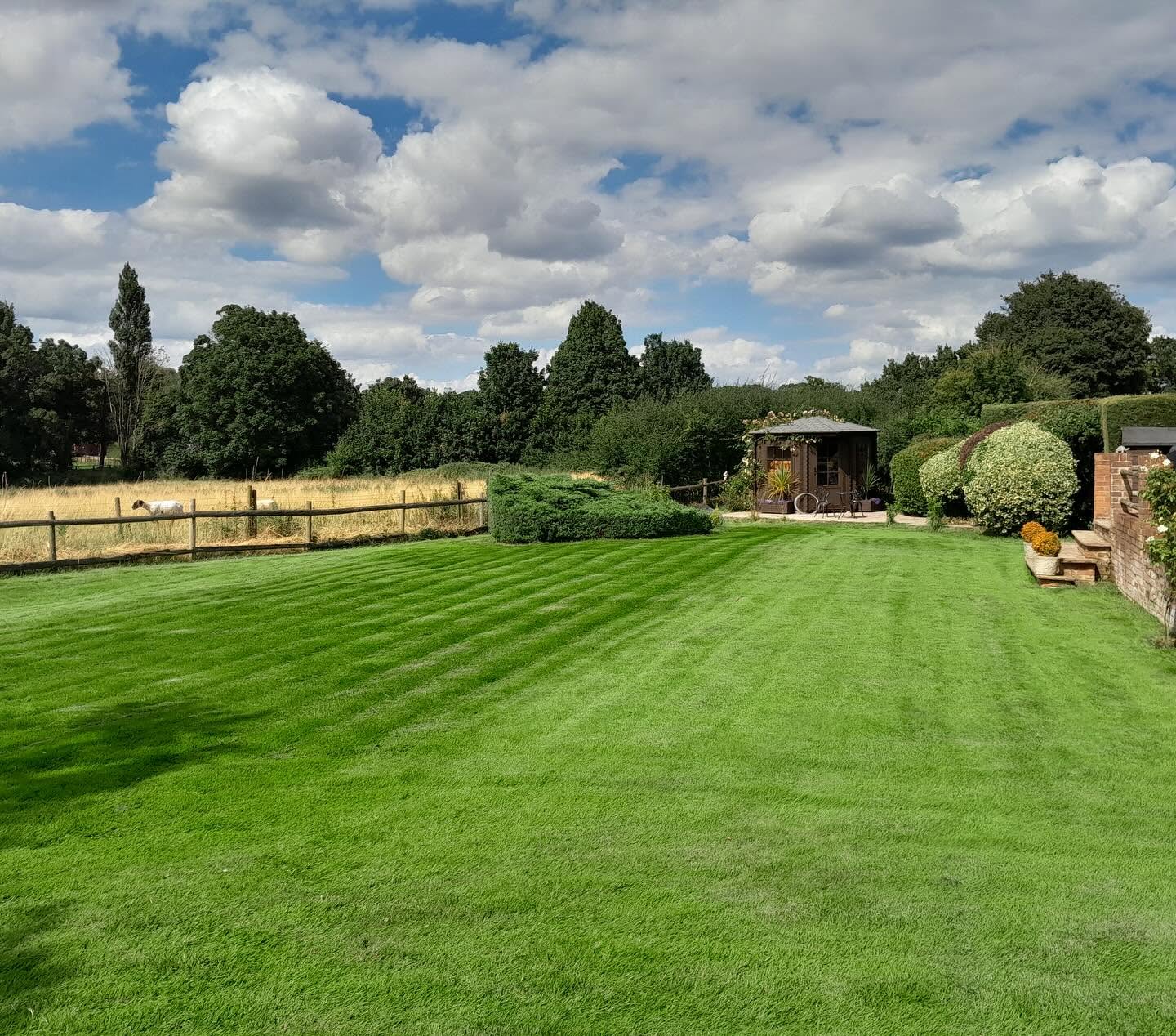 healthy well maintained residential lawn Greater Sudbury Ontario professional lawn care result