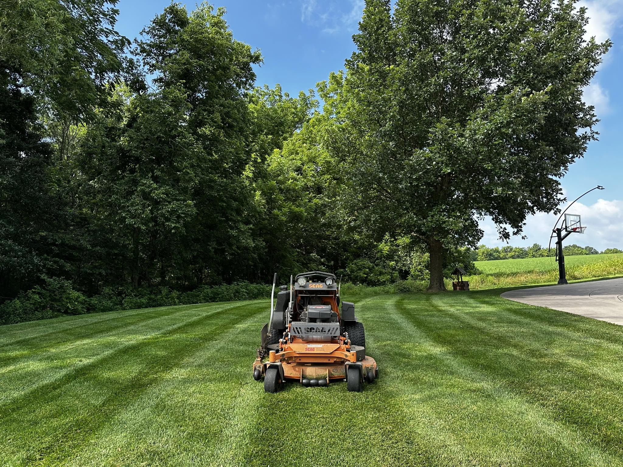 homeowner asking difficult lawn care question Ryan Lingenfelter Sudbury Ontario honest assessment visit