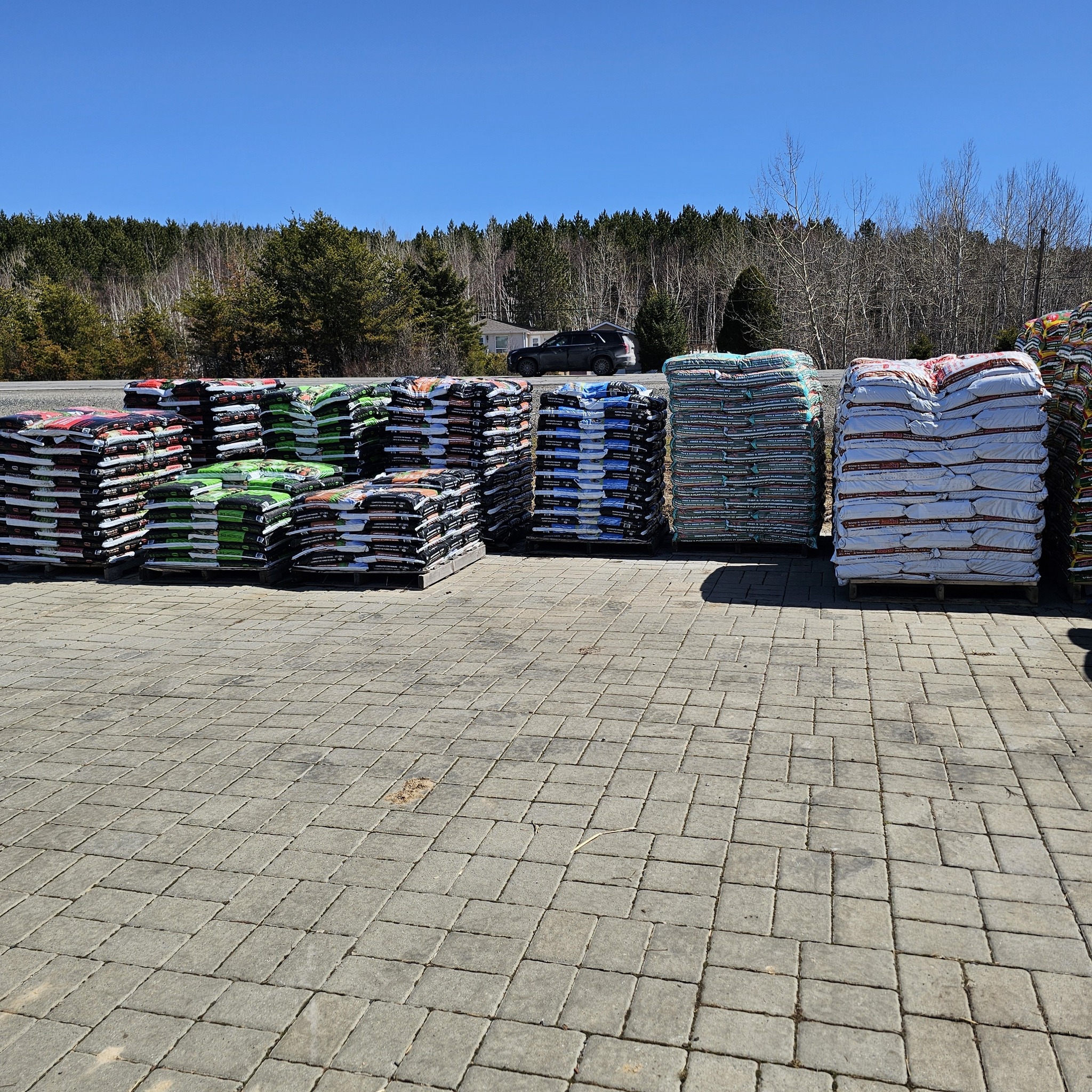 homeowner holding lawn fertilizer bag residential yard Sudbury Ontario spring