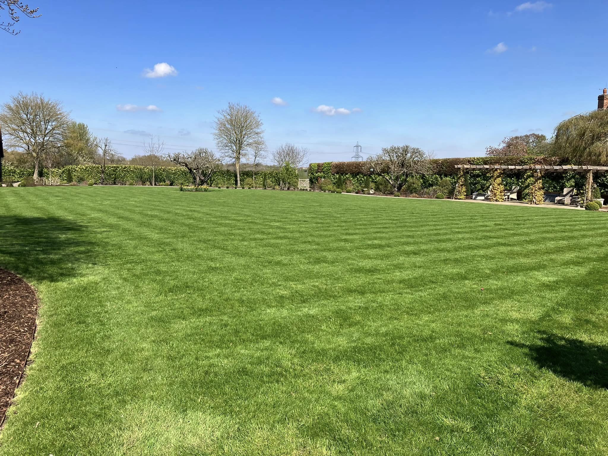 lawn after repair Chelmsford Ontario green healthy grass