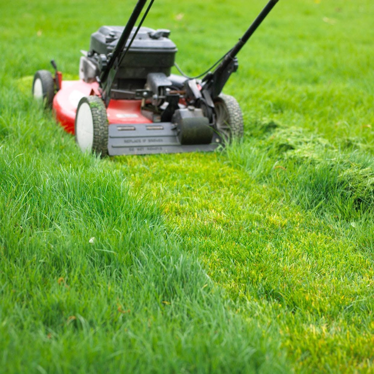 lawn mower set too low incorrect cutting height struggling lawn Sudbury Ontario assessment