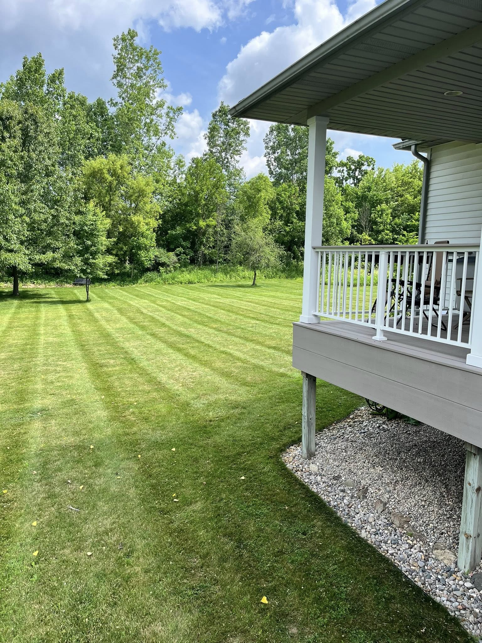 lawn recovery after dormancy Sudbury Ontario green grass