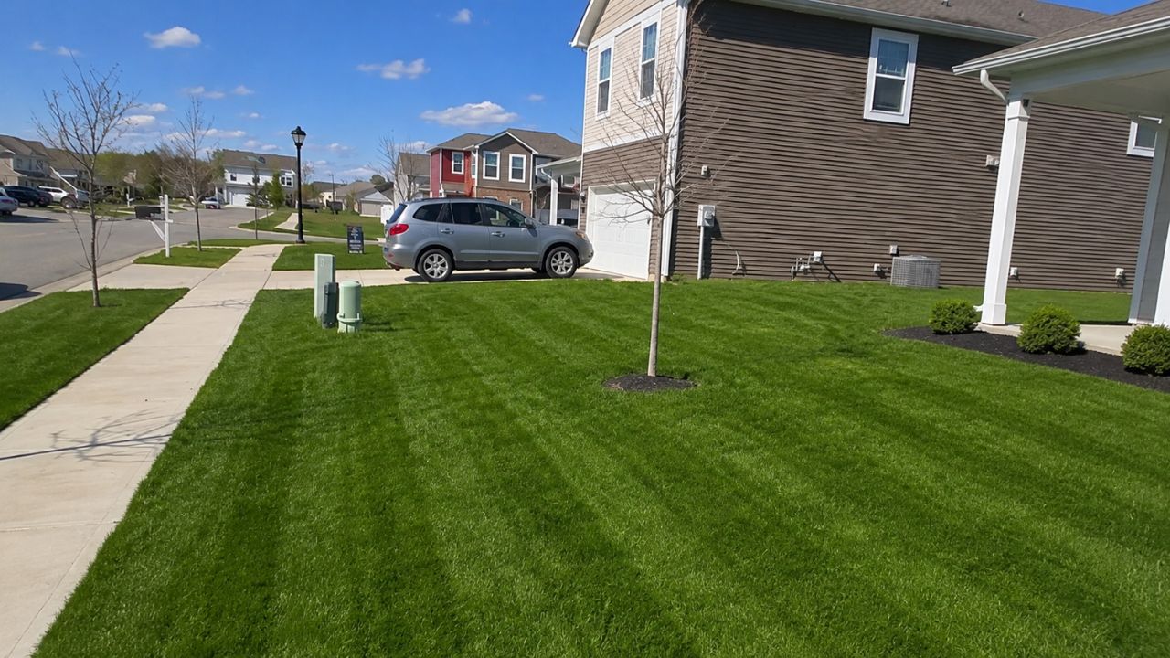 lawn residential property Greater Sudbury Ontario late summer August