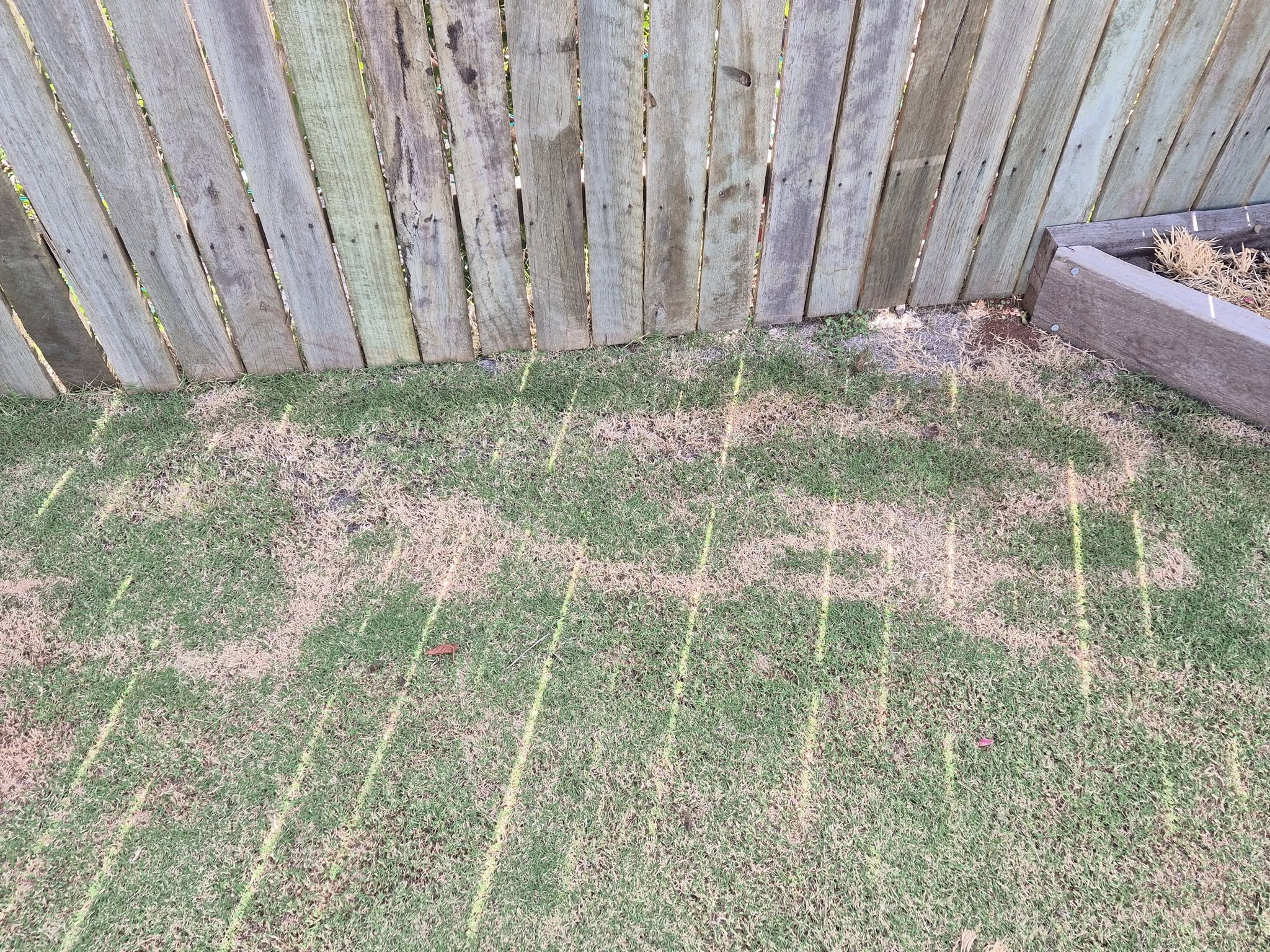 lawn stress pattern location sunny strip high traffic area Greater Sudbury Ontario diagnostic