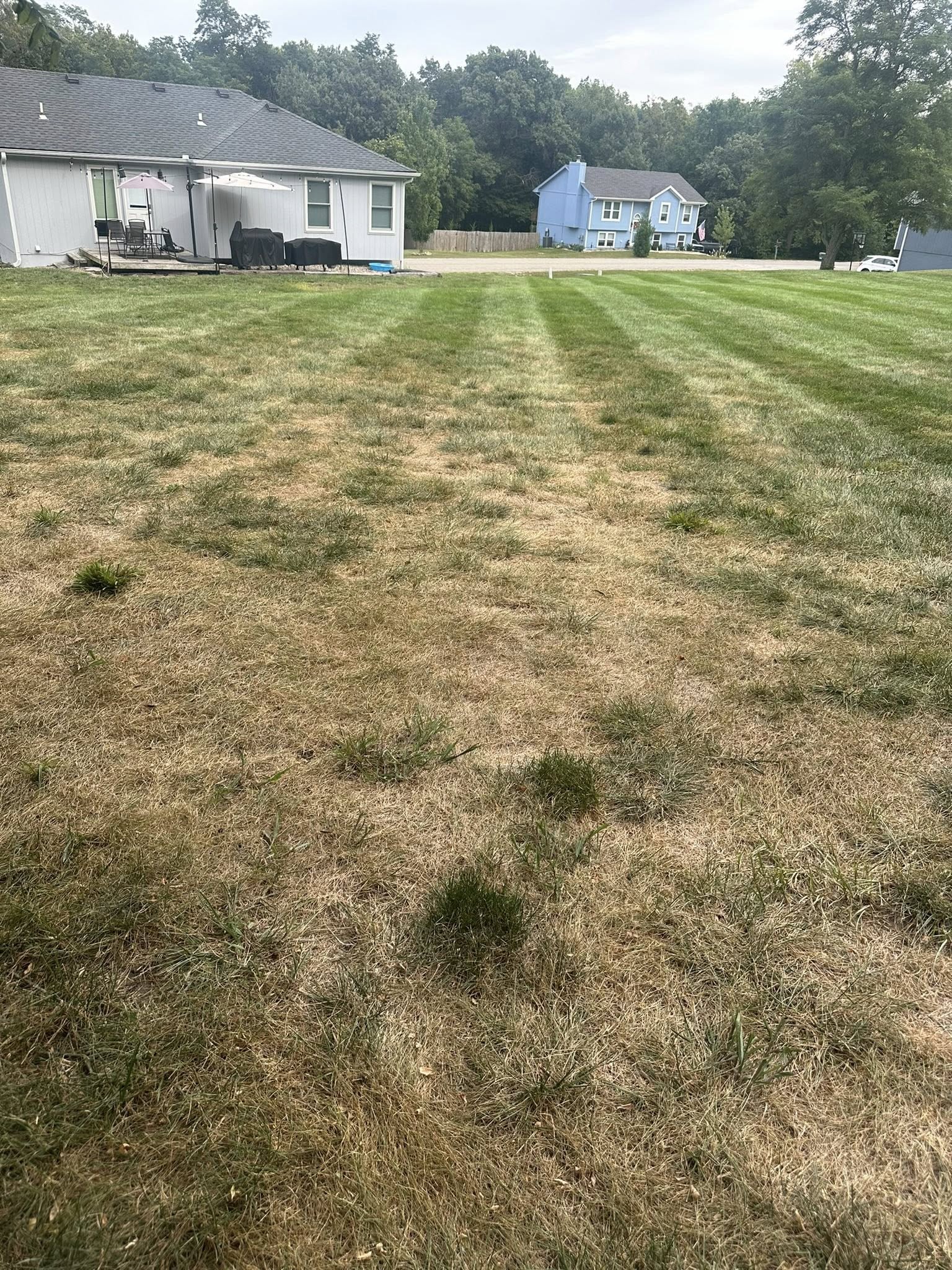 lawn stress pattern sunny strip thin section residential yard Sudbury Ontario diagnostic