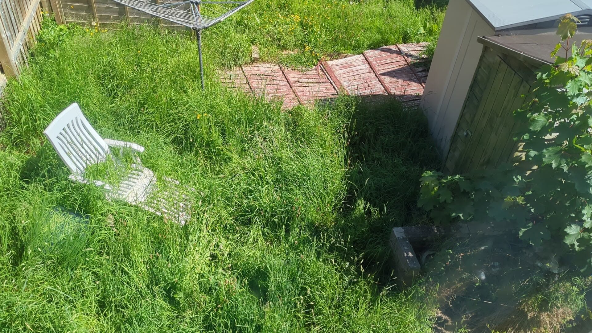long grass residential lawn Greater Sudbury Ontario height bylaw 20 centimetre limit