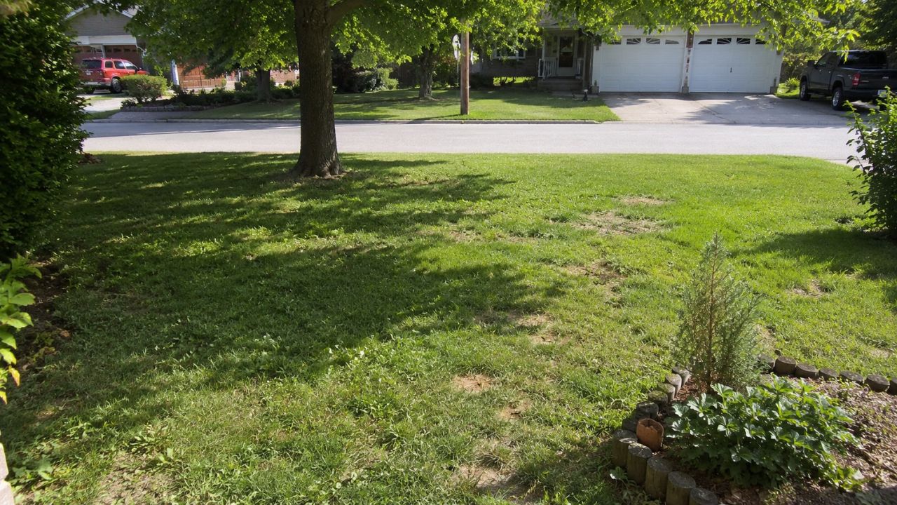 neglected overgrown lawn Sudbury Ontario full summer no care