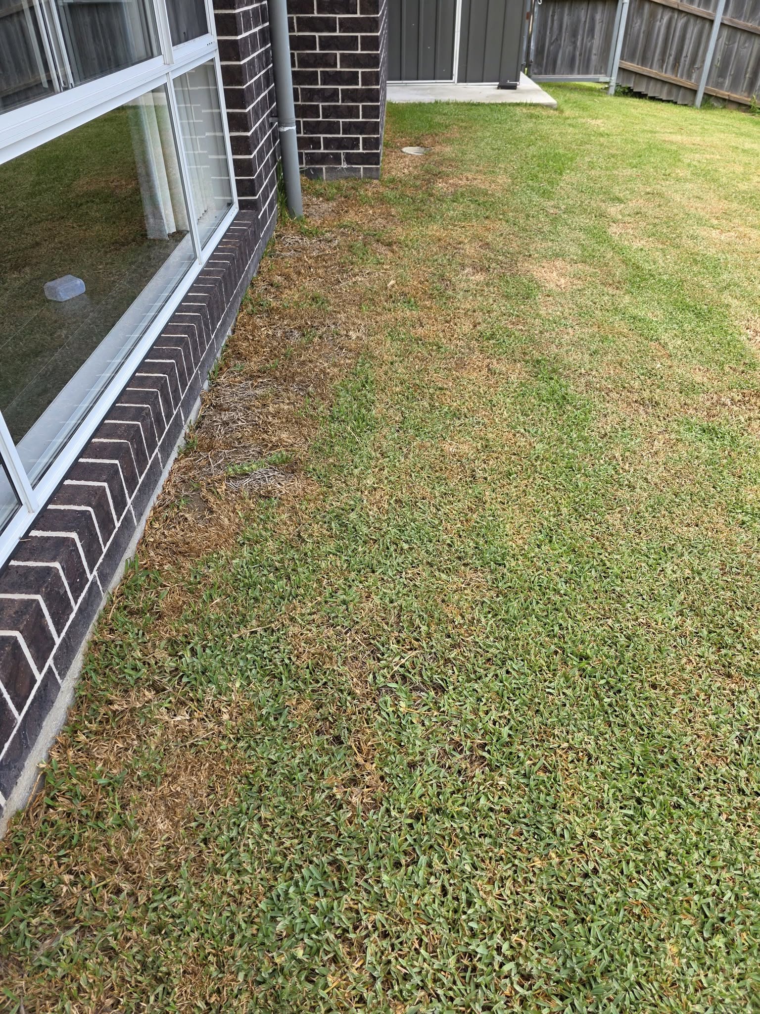 patchy stressed residential lawn common mistakes Greater Sudbury Ontario homeowner