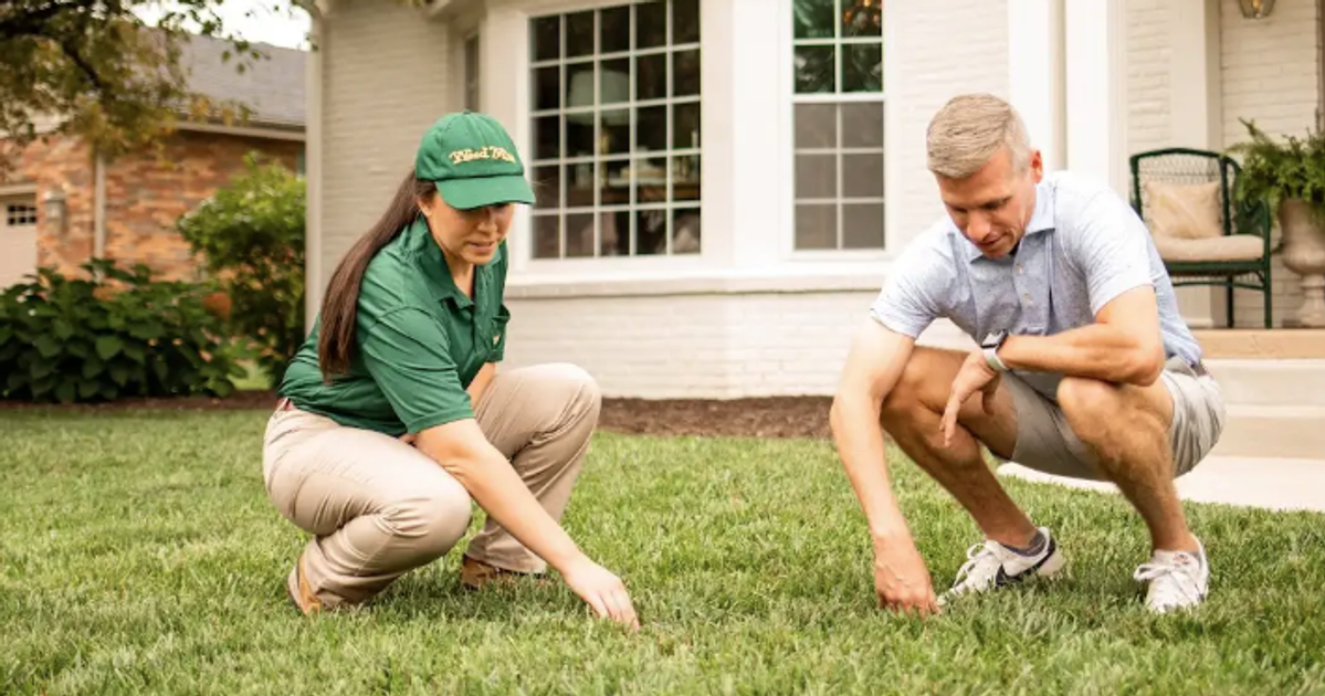 phone with Sudbury homeowner discussing lawn problem