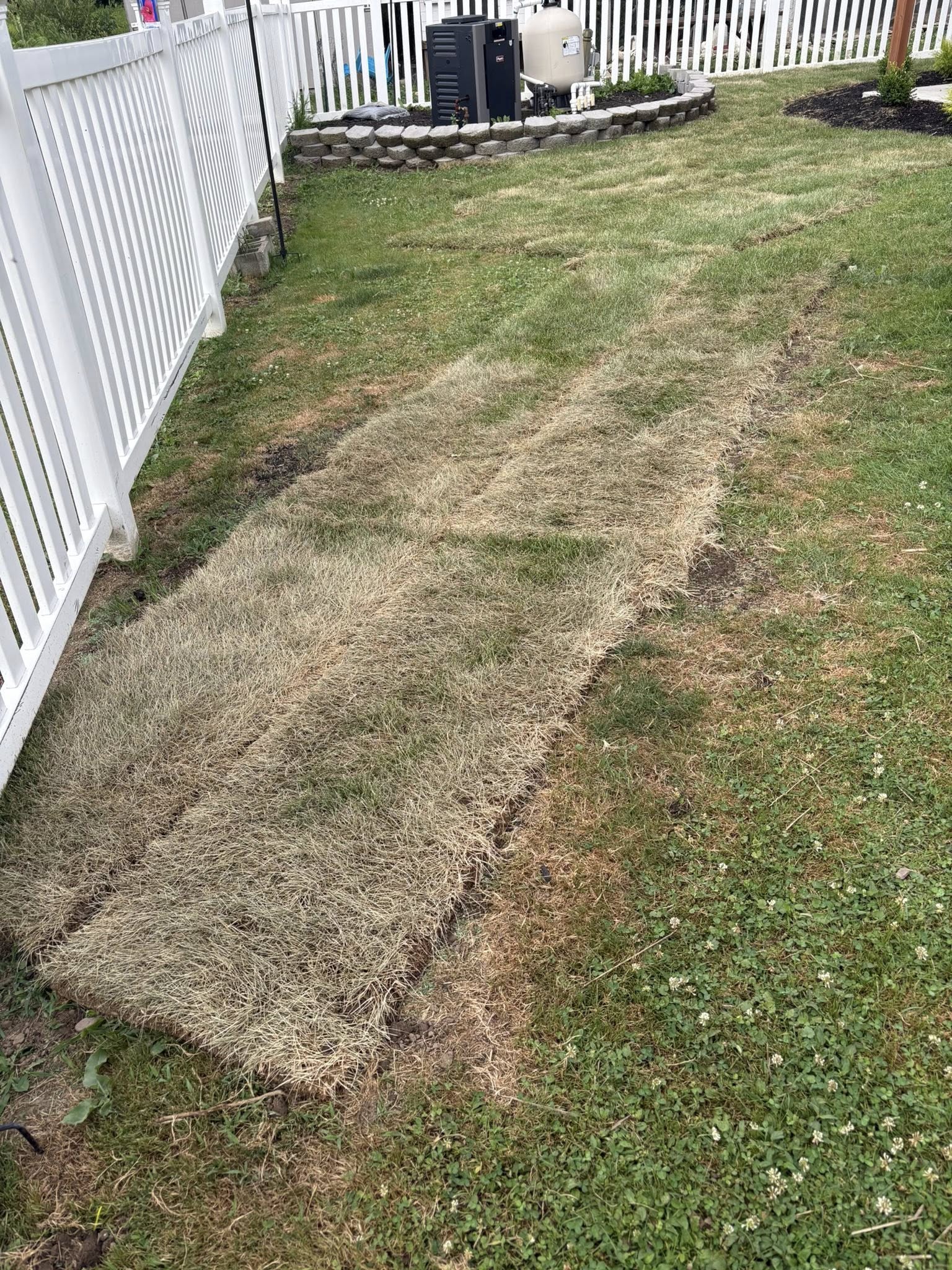 poor quality thin sod rolls dying on pallet Sudbury Ontario heat stress warning