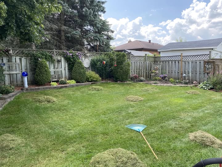 residential lawn fall October frost risk Greater Sudbury Ontario aeration timing