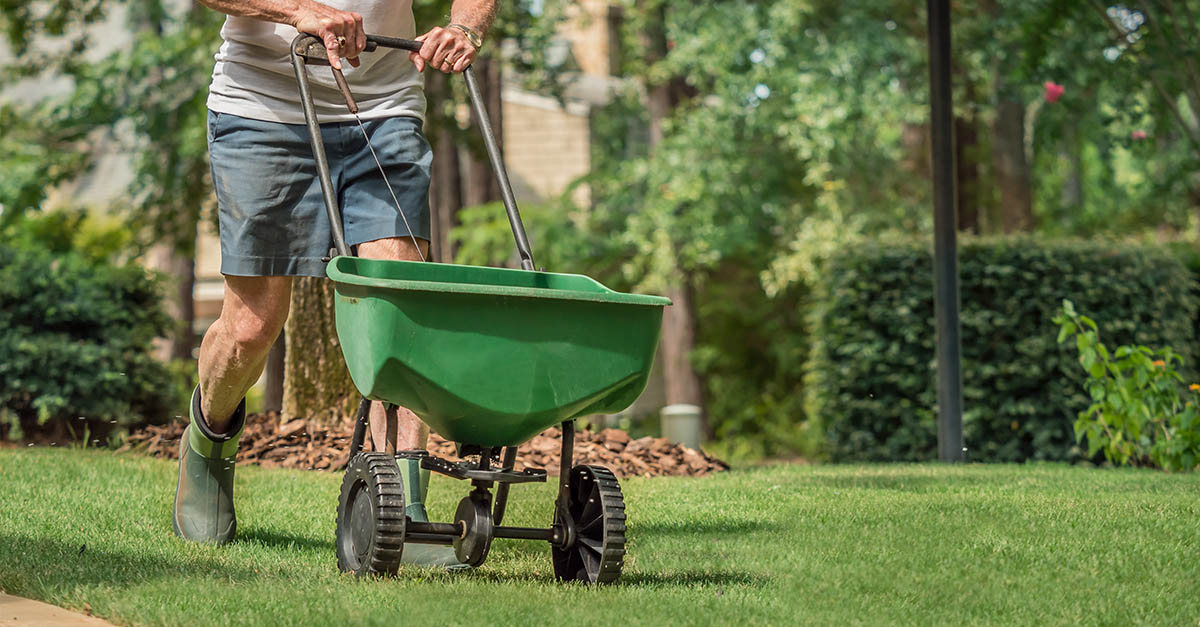 residential lawn late May overseeding aeration holes Greater Sudbury Ontario