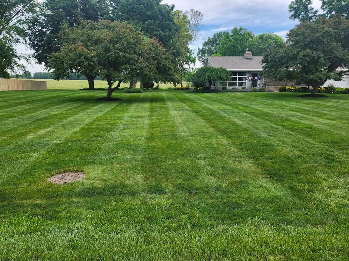 The Worst Lawn I’ve Seen in Greater Sudbury This Season — And What Was Actually Causing It