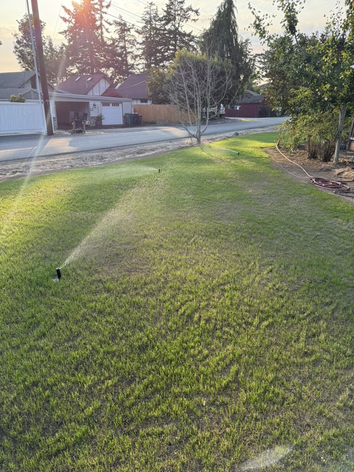 shallow grass roots Sudbury Ontario lawn overwatering frequent light watering