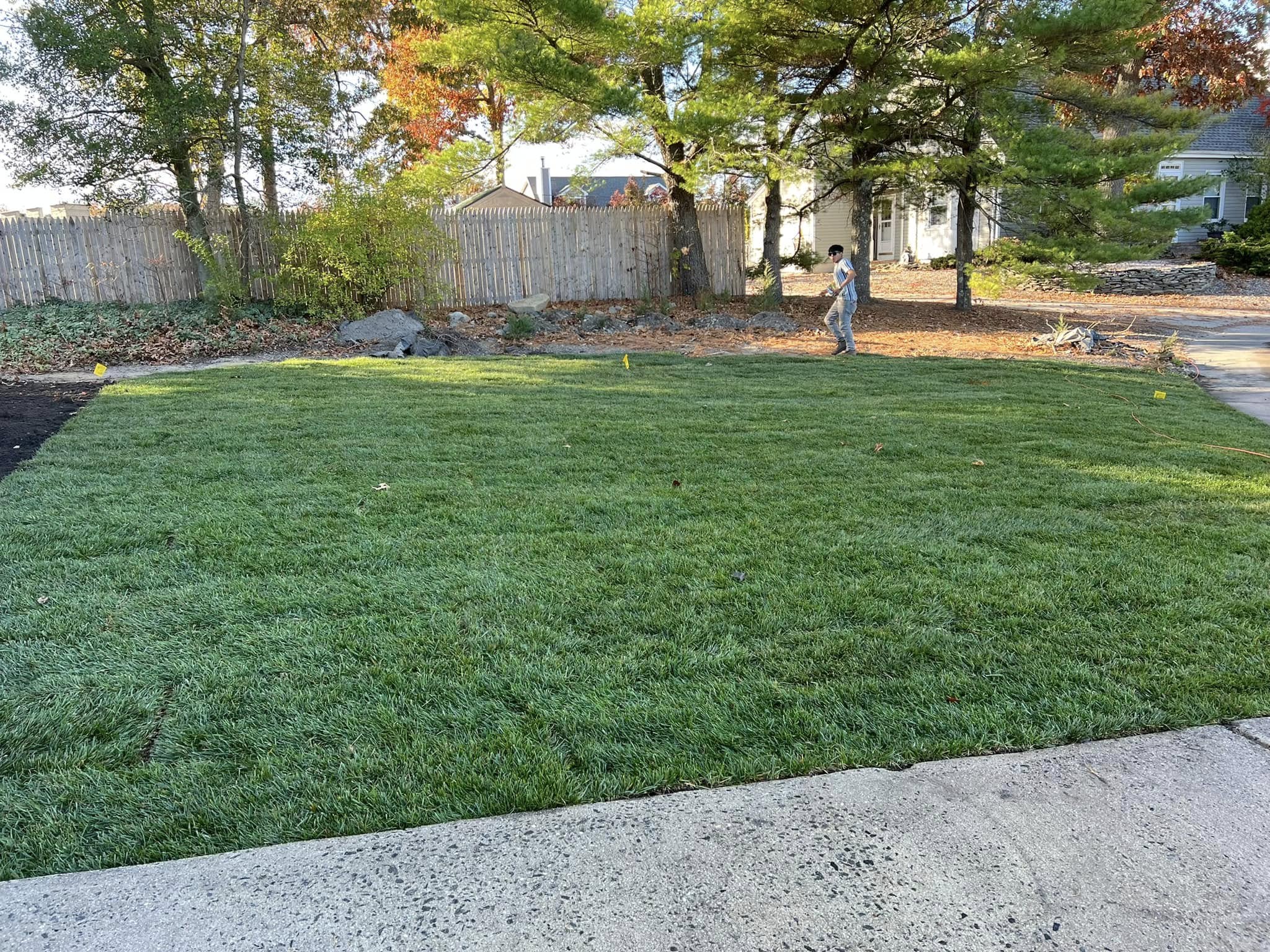 sod installation Chelmsford Ontario Cutting Edge Lawn