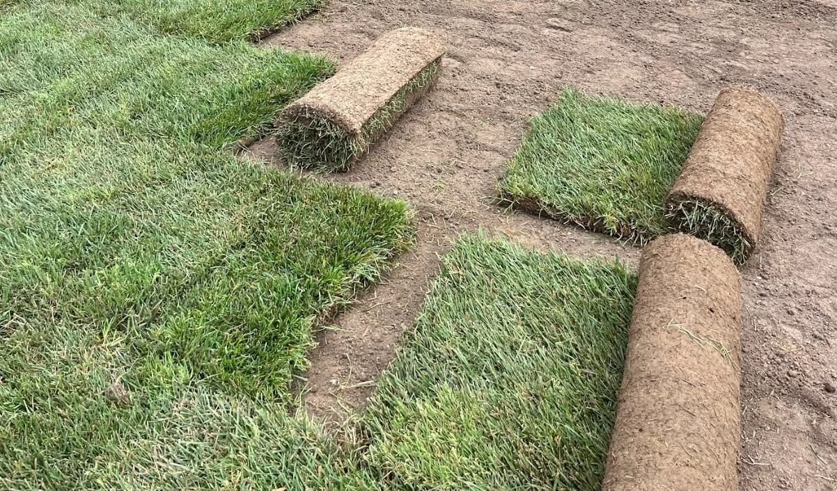 sod installation Sudbury June summer 2026
