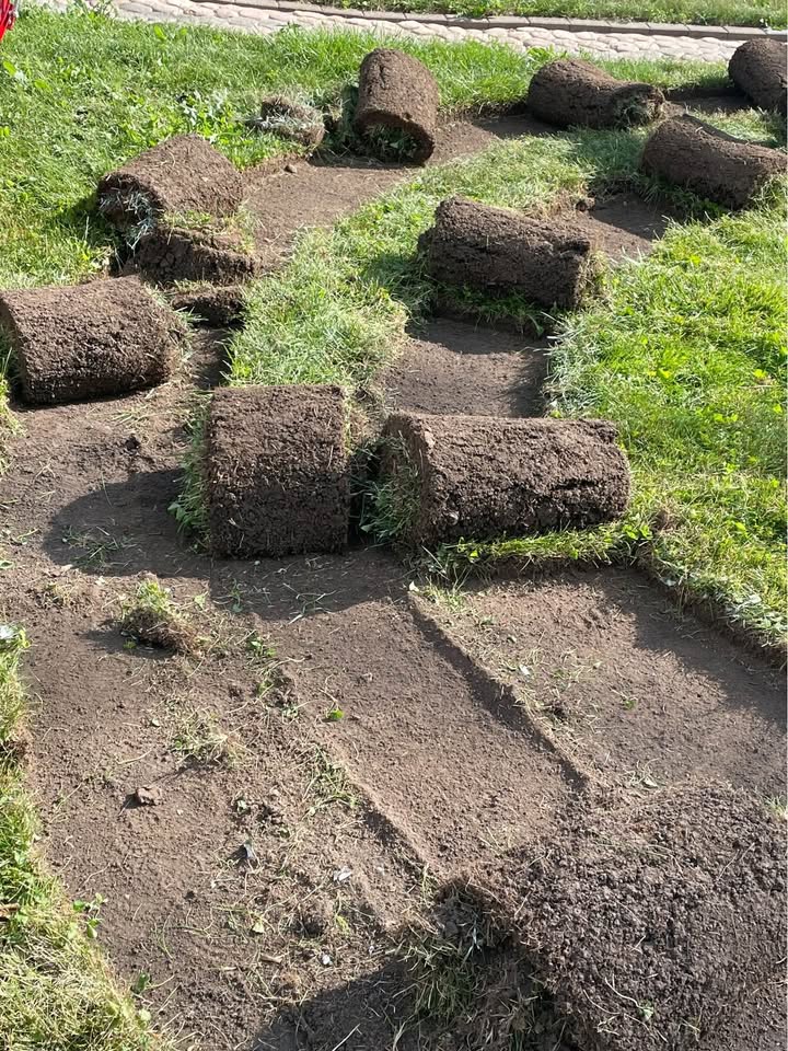 sod rolls heating up yellowing on pallet residential driveway Sudbury Ontario