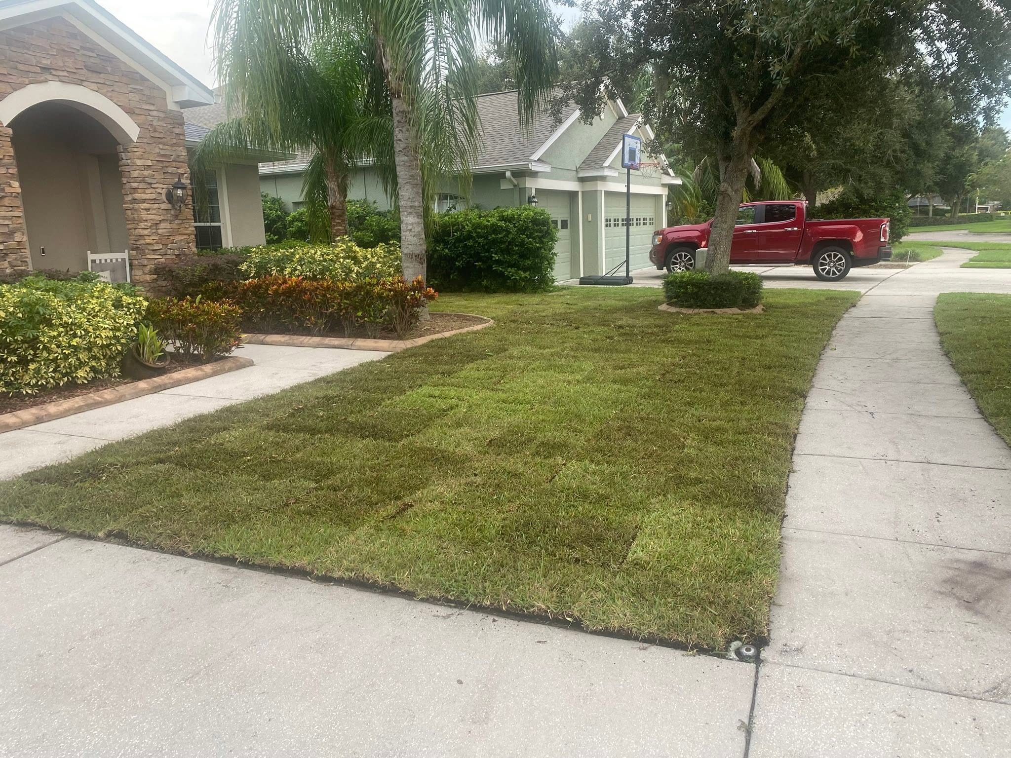sod three weeks after installation residential lawn Greater Sudbury Ontario rooted established green