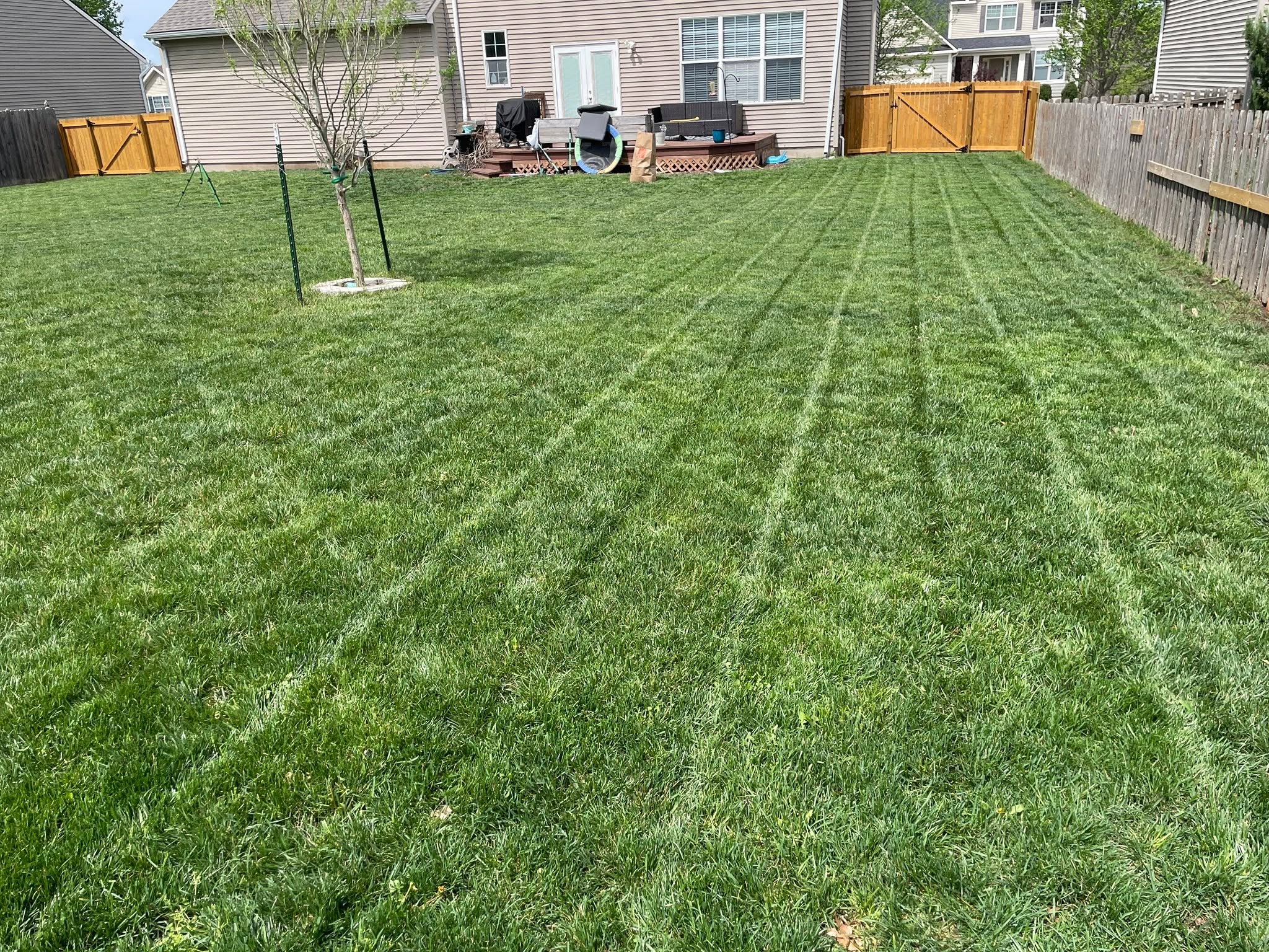 struggling lawn residential property Greater Sudbury Ontario mystery problem soil test needed