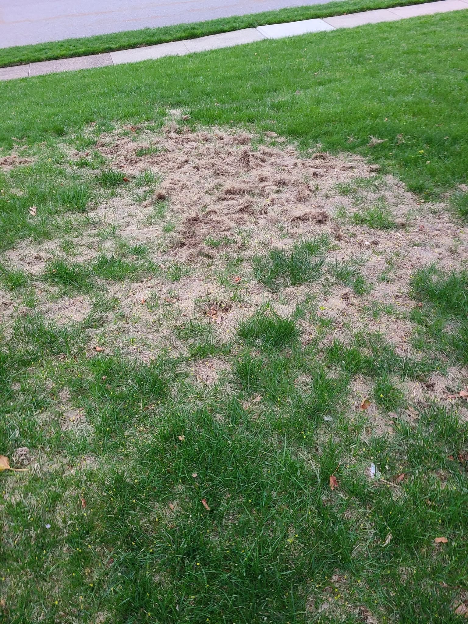 torn turf gouged lawn edge driveway snowplow damage Greater Sudbury Ontario spring assessment needed