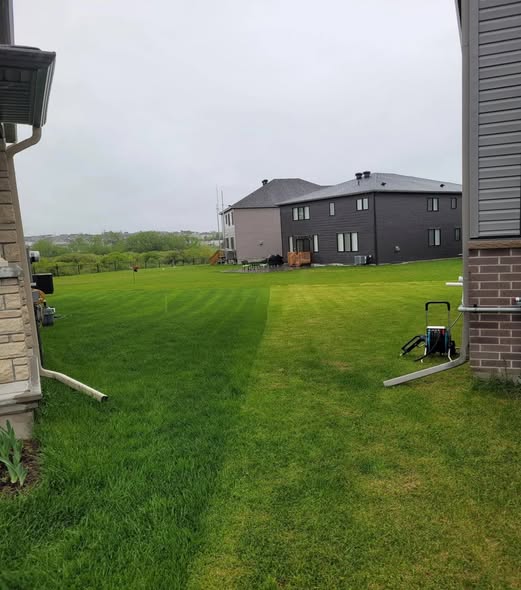 two neighbouring lawns different results same advice Greater Sudbury Ontario contrast
