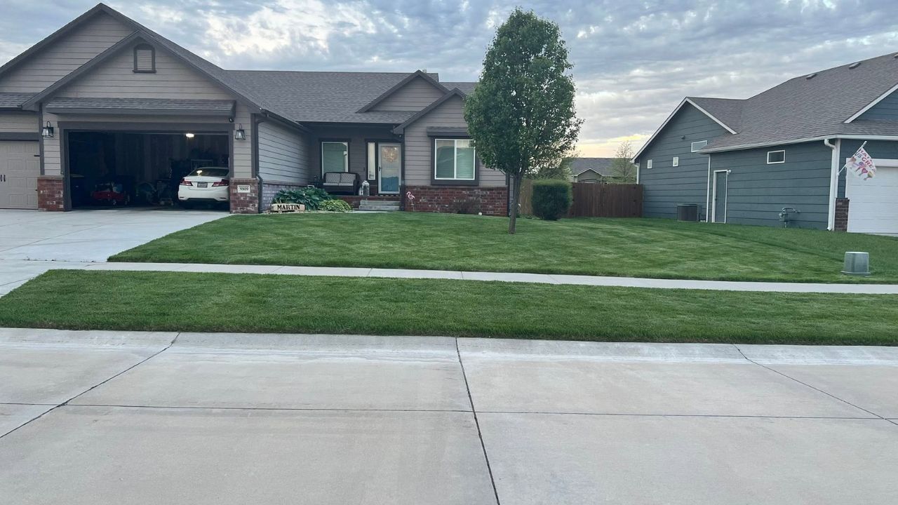 two neighbouring residential lawns side by side contrast Greater Sudbury Ontario one healthy one struggling