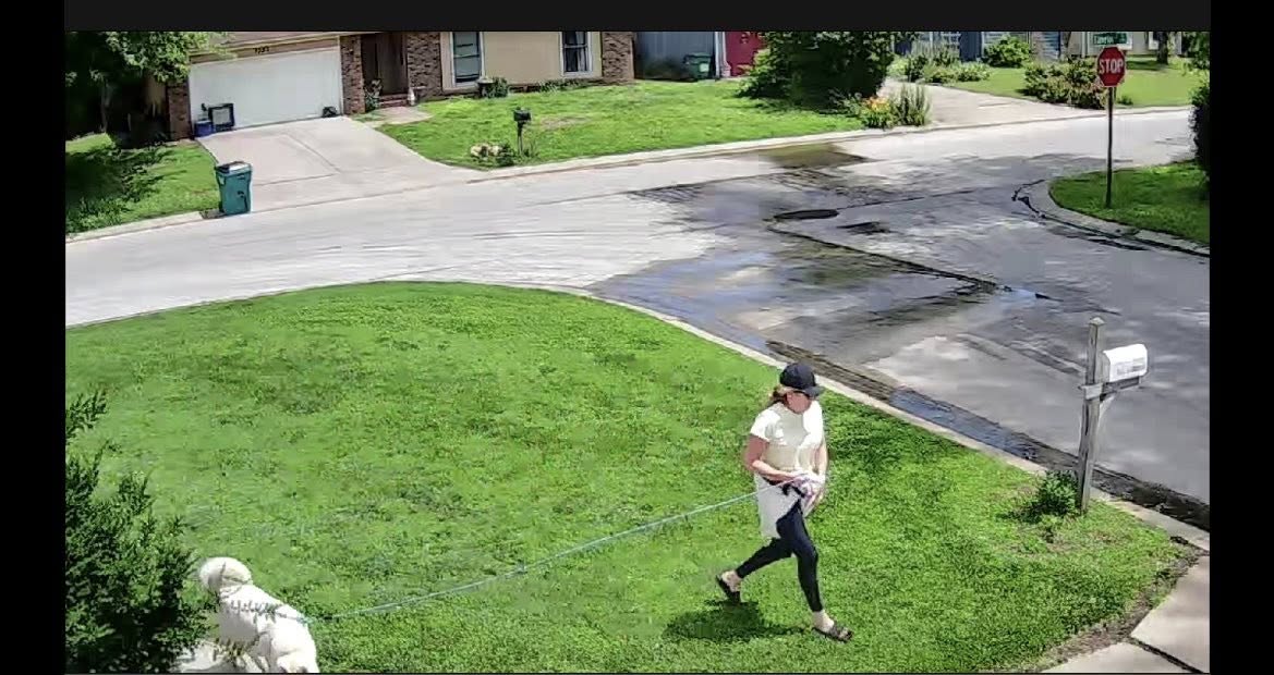 walking a residential lawn in Sudbury doing a property assessment