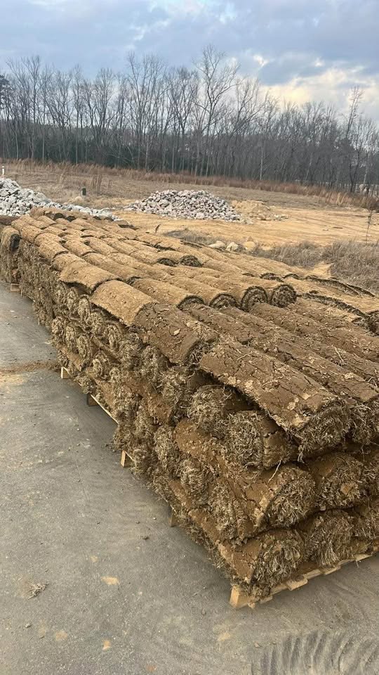 yellowed dry sod roll close up damaged pallet Sudbury Ontario heat stress