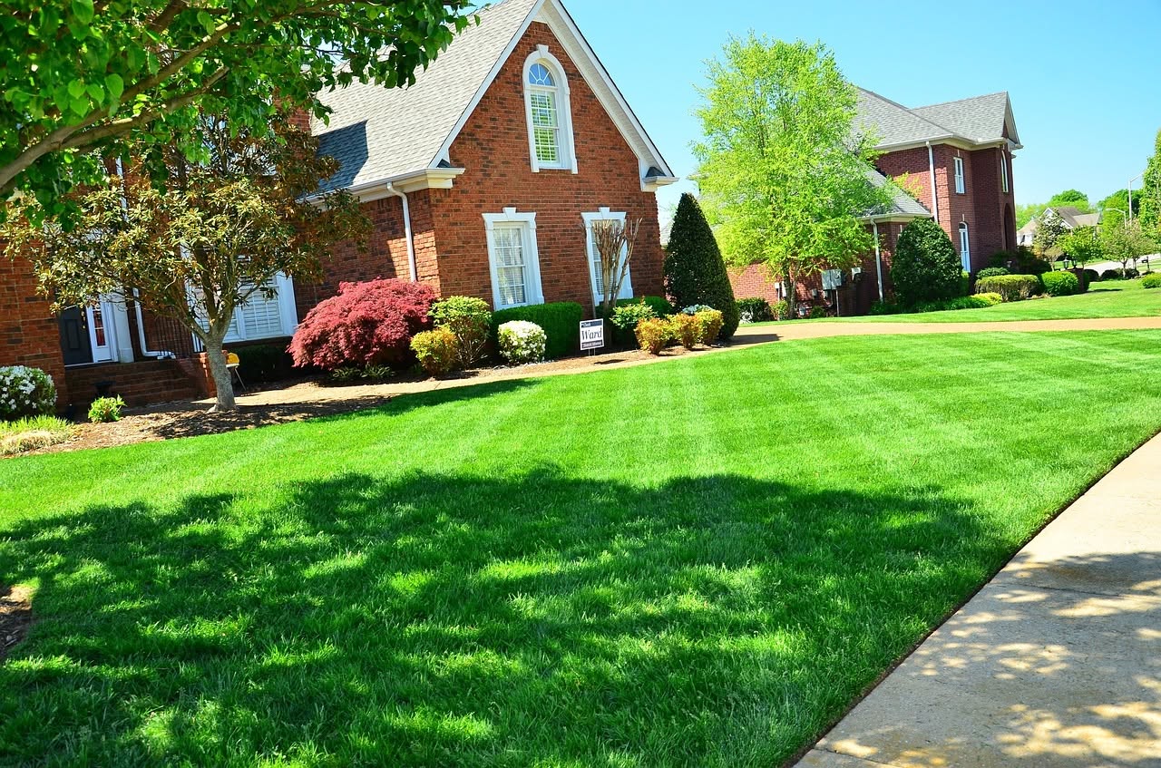 Better lawn care search approach Greater Sudbury Ontario informed decision
