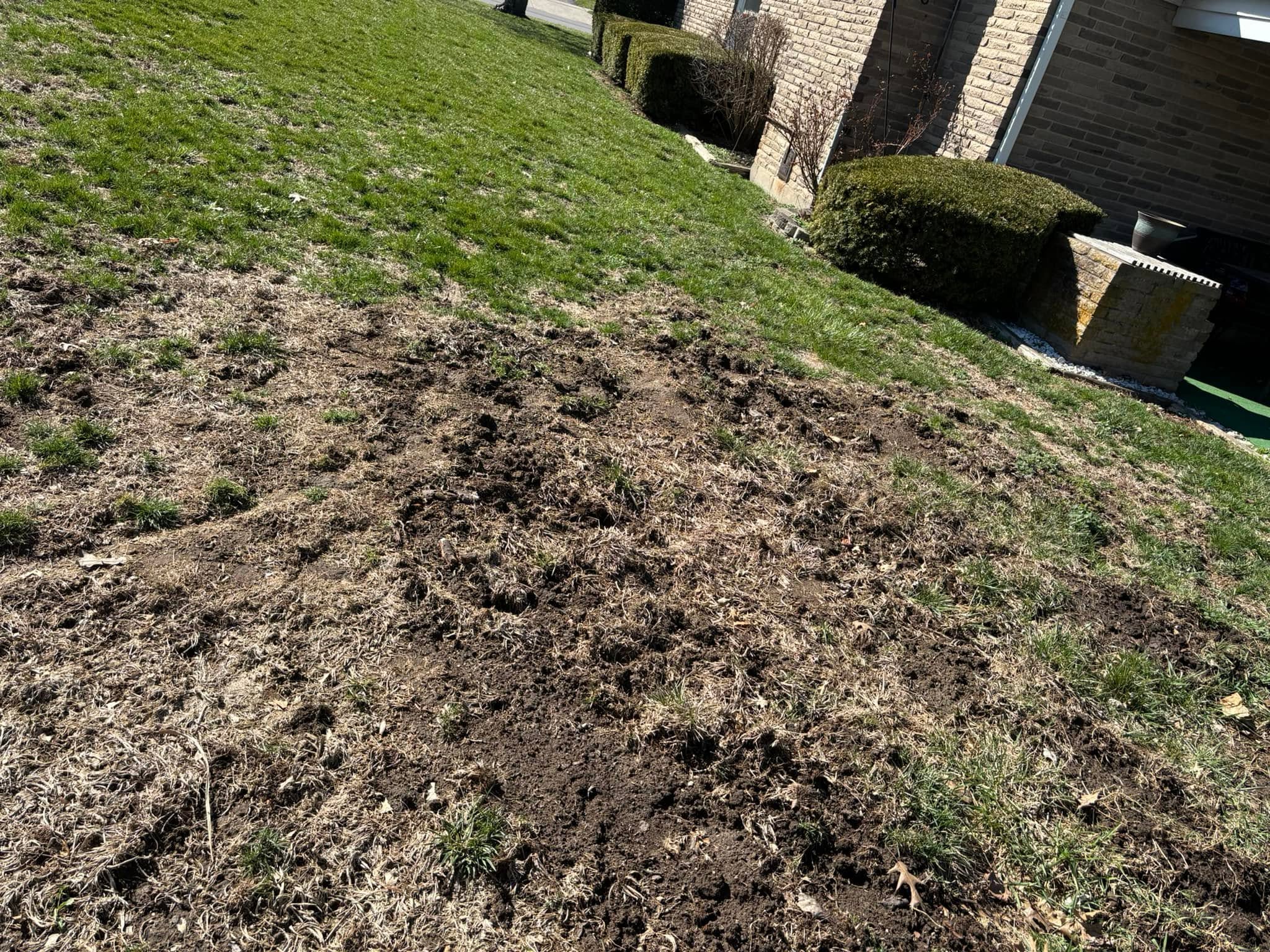 Canadian Shield soil depth variation Sudbury Ontario bedrock shallow topsoil lawn