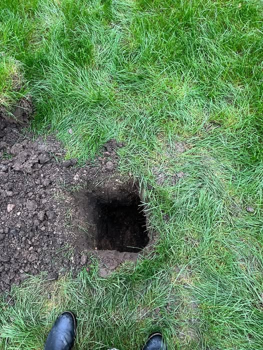 Contractor digging small test hole in a Sudbury lawn revealing hidden buried material below topsoil