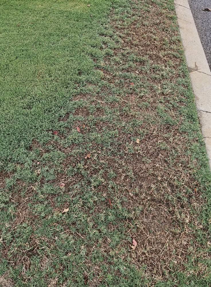 Corner lot lawn problems skipped maintenance Sudbury Ontario deterioration
