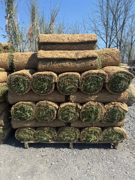 Fresh grass sod rolls delivered to a Sudbury residential property