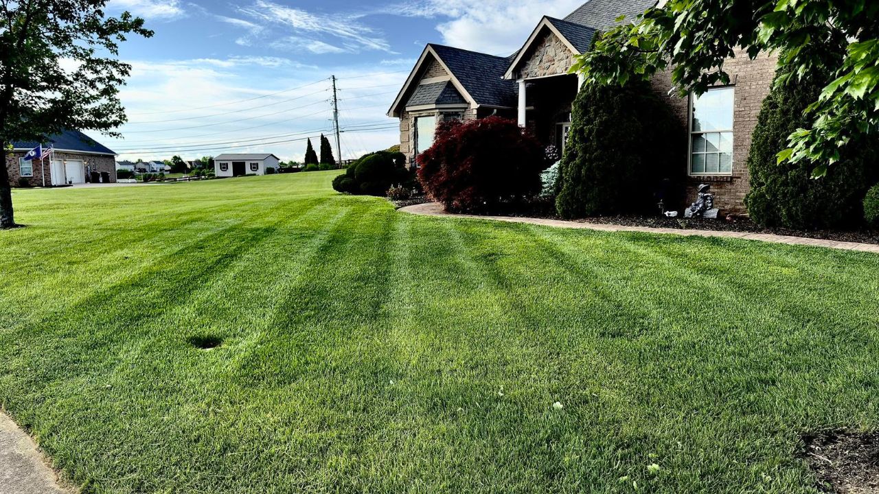 Greater Sudbury homeowner standing on recovered healthy lawn
