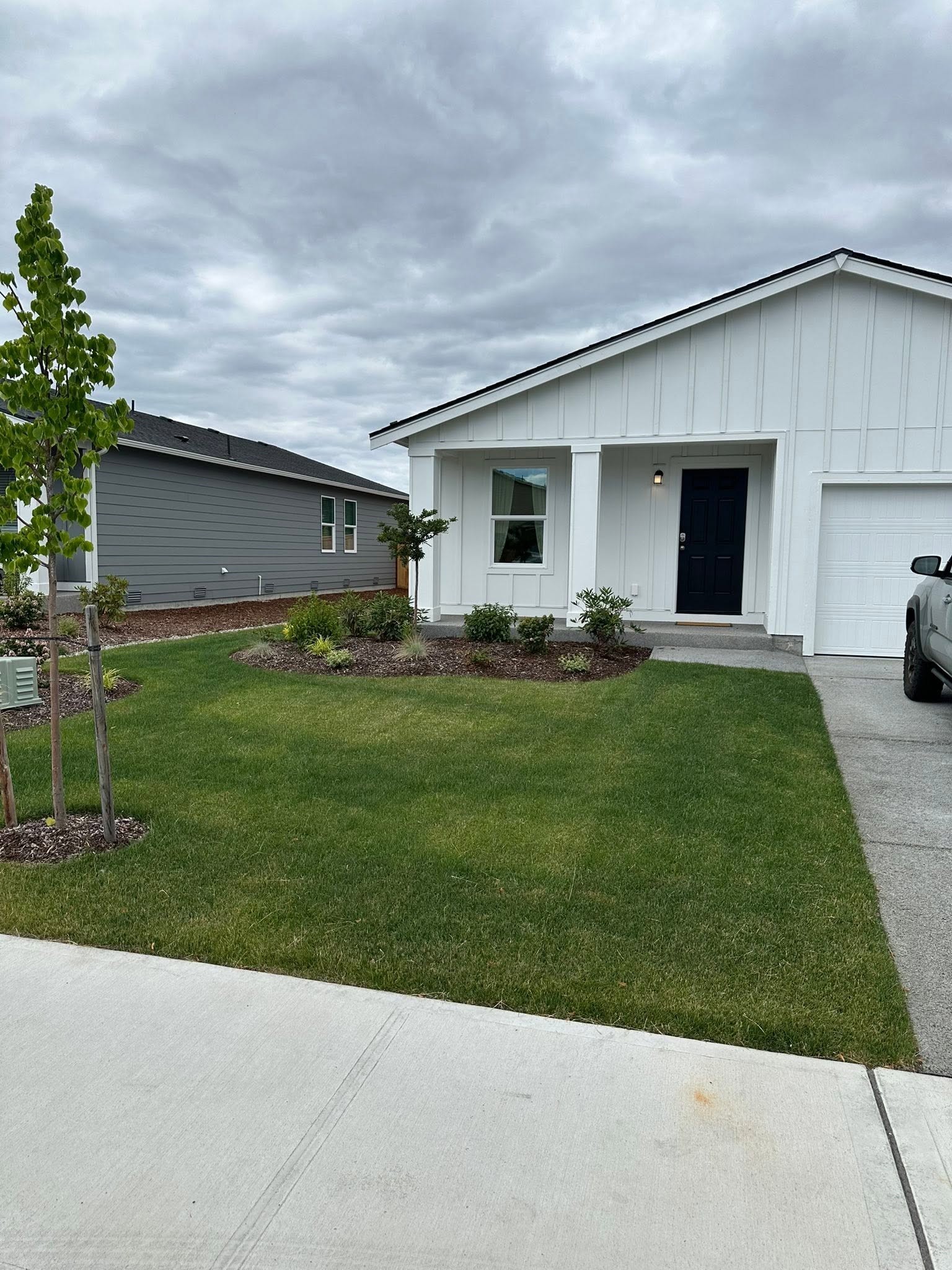 Healthy recovering lawn on new Sudbury subdivision after proper soil preparation