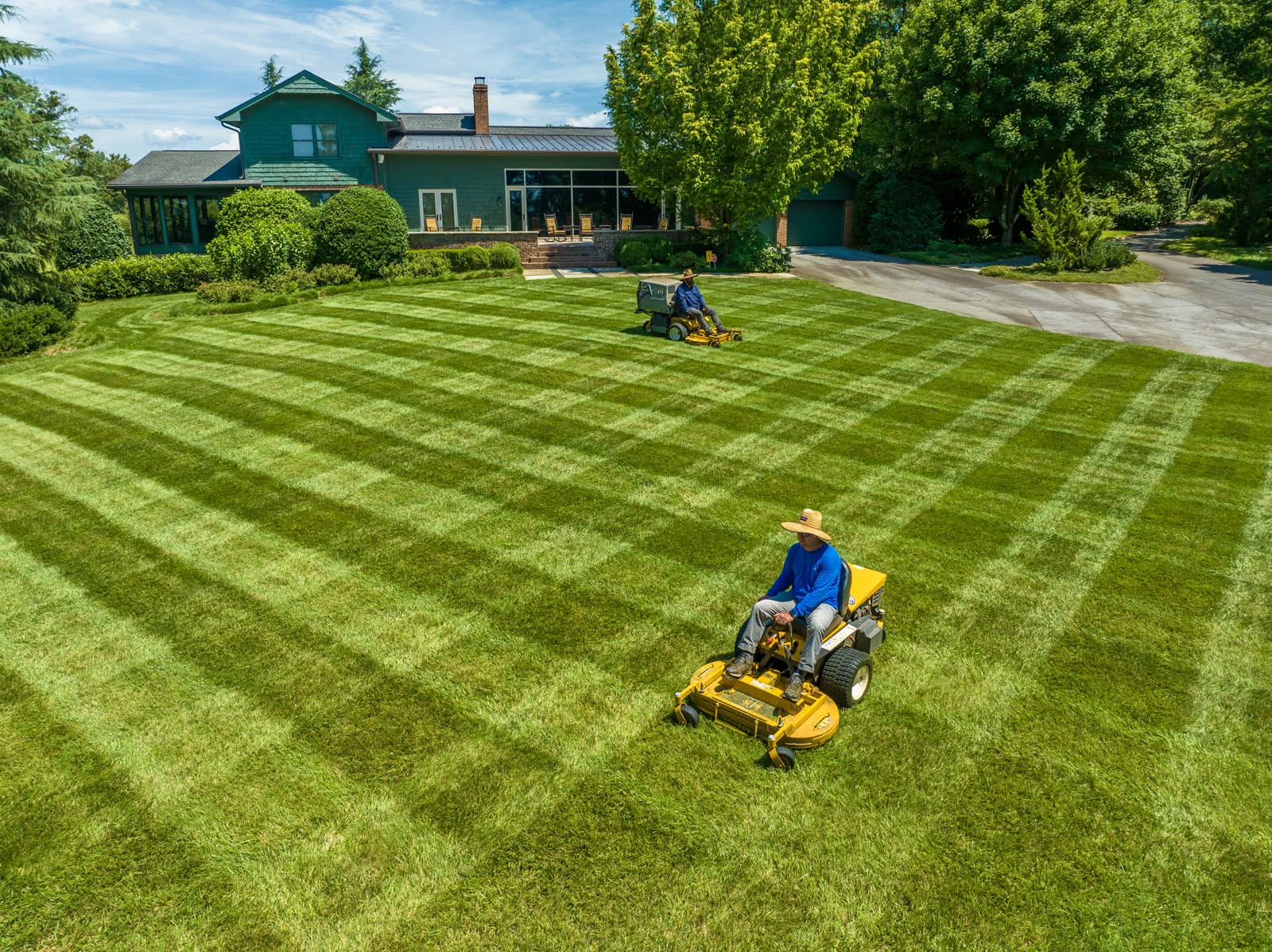Homeowner checking lawn condition two weeks after first service