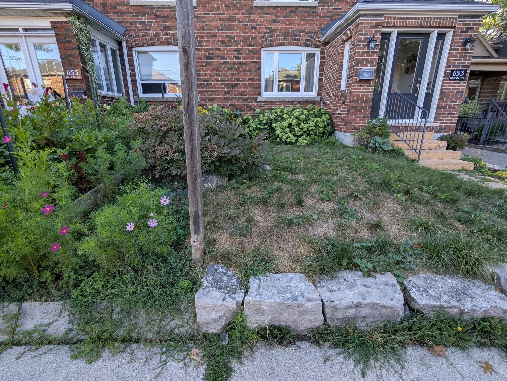 Homeowner on phone skeptical about hiring a lawn company again