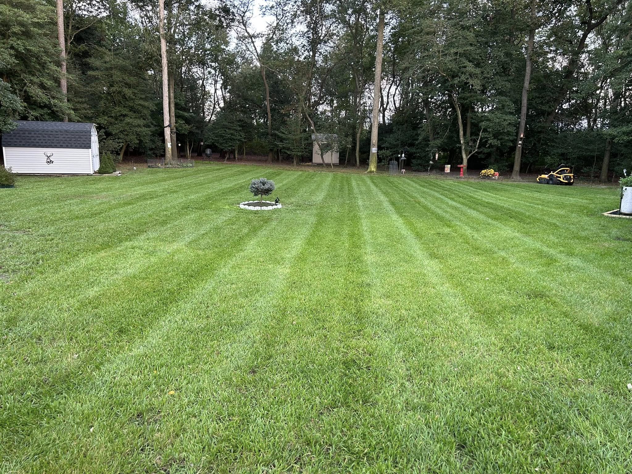 Lawn care professional assessing Sudbury yard in person