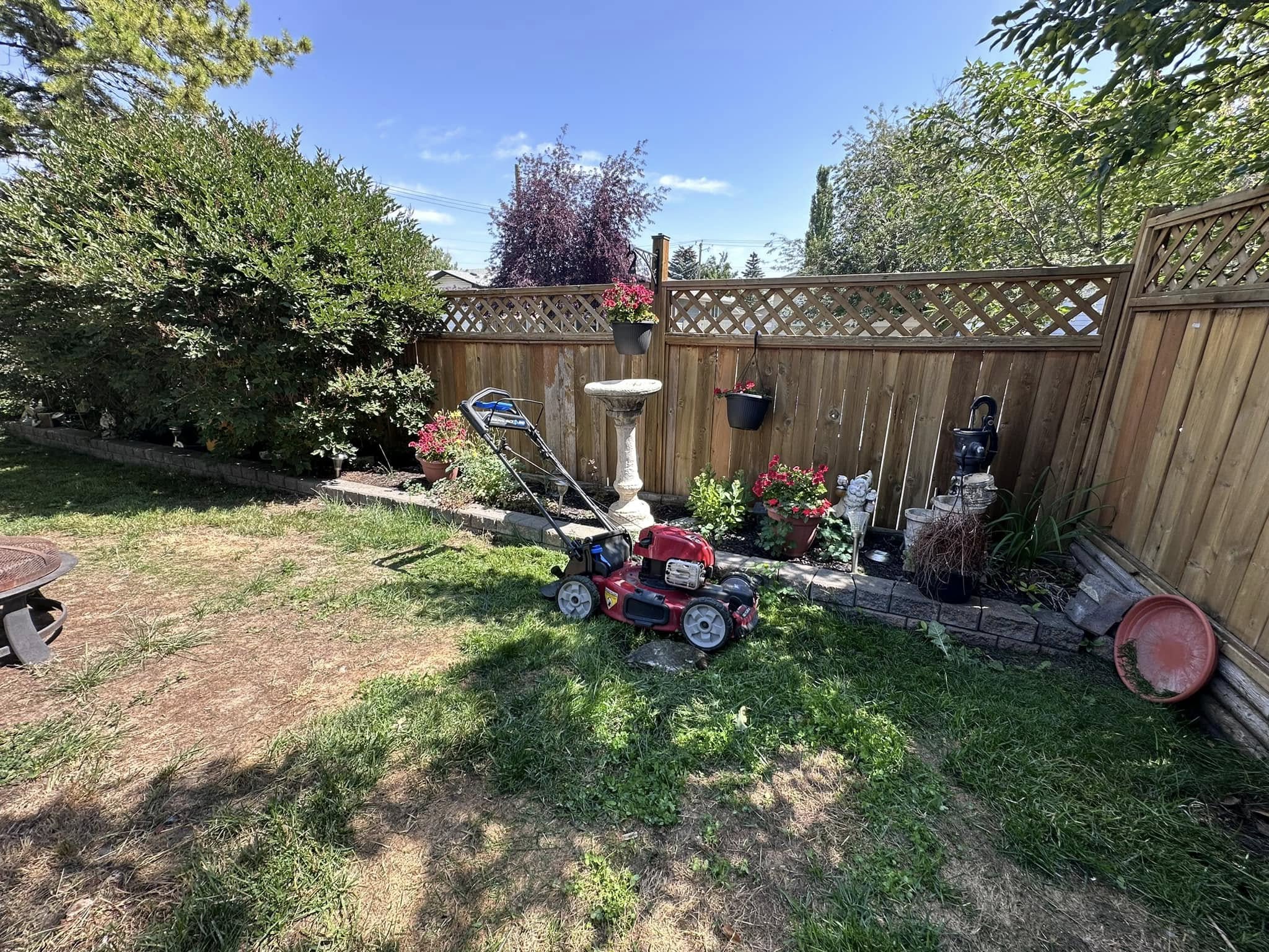 Lawn care professional examining thin patchy grass on a Sudbury residential property during initial assessment