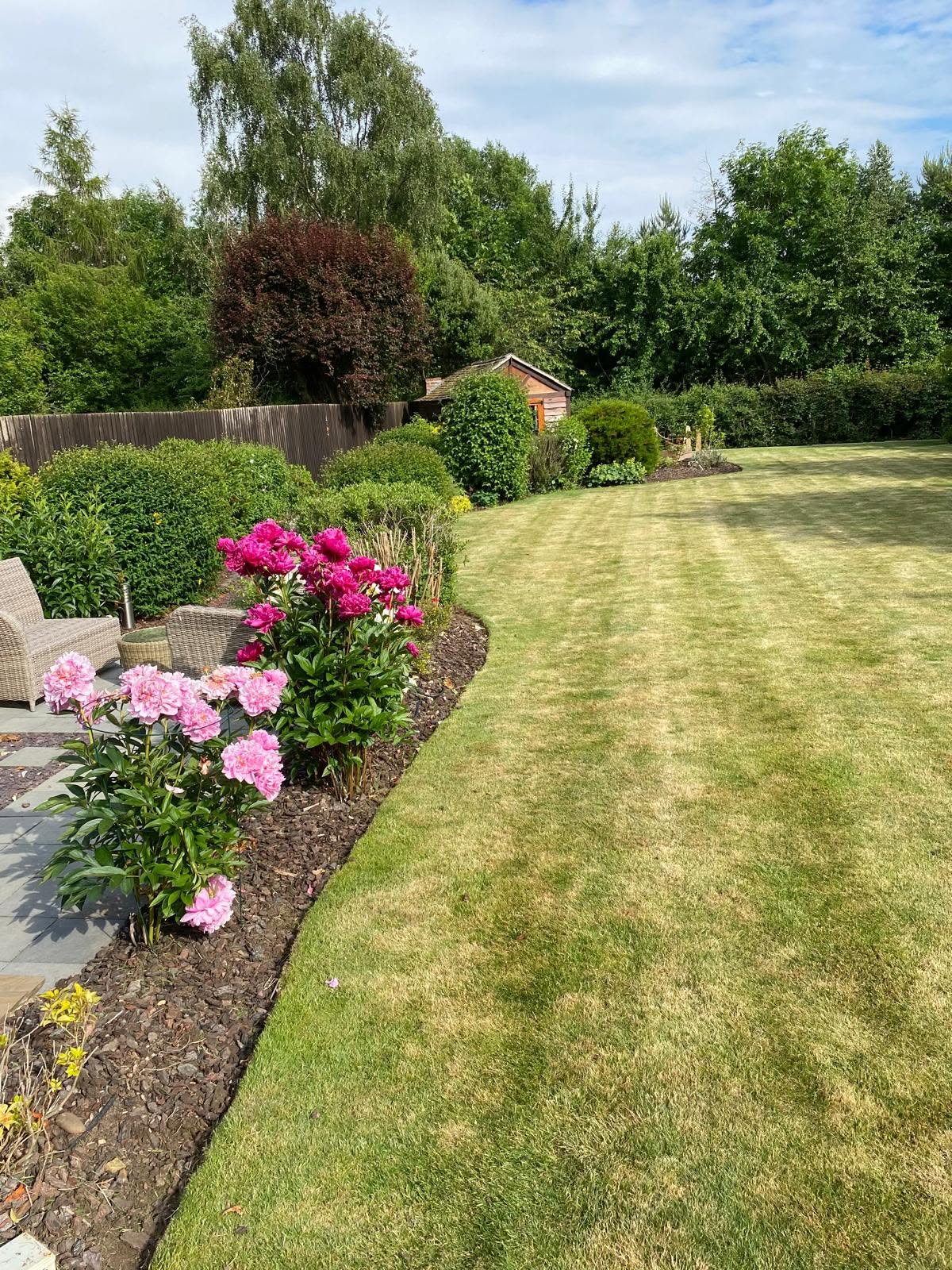 Lawn care search results Sudbury Ontario Google map listing comparison